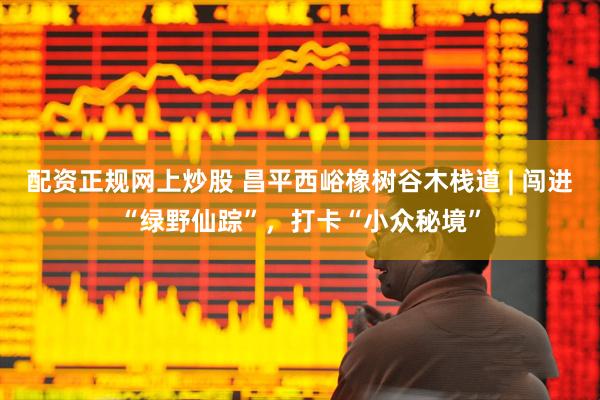 配资正规网上炒股 昌平西峪橡树谷木栈道 | 闯进“绿野仙踪”，打卡“小众秘境”